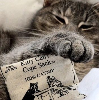 Kitty Can’t Cope Sack - Free Gift